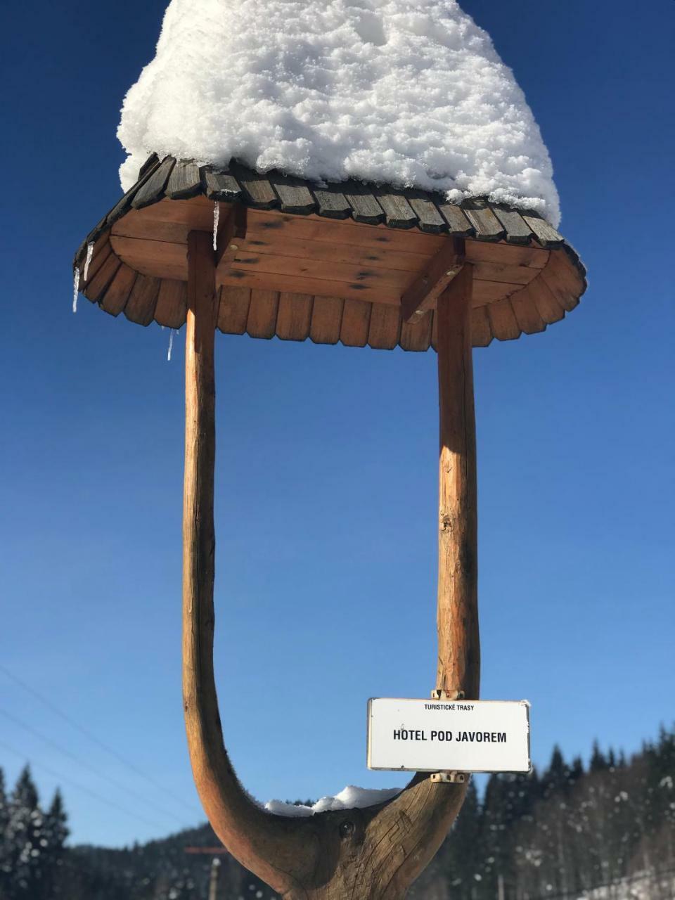 Pod Javorem Otel Velké Karlovice Dış mekan fotoğraf